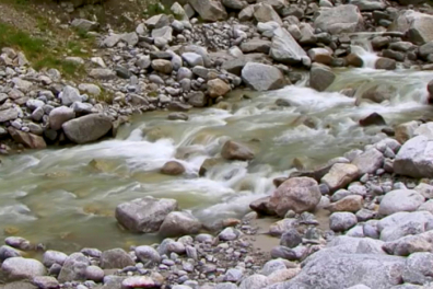Transport et sédimentation dans un torrent de montagne 